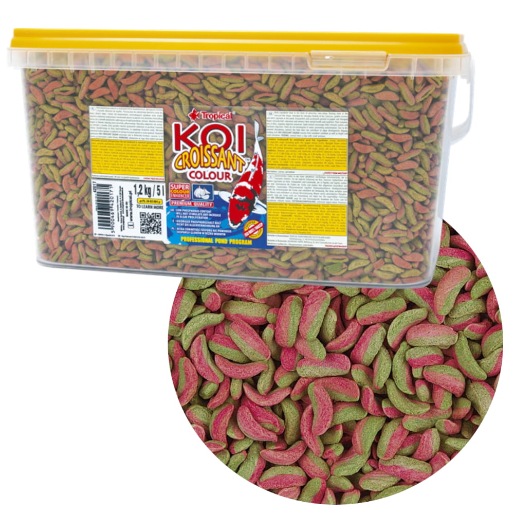 KOI croissant 51 — kopia.jpg